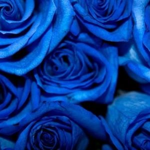 Meet your Posher, Mariah